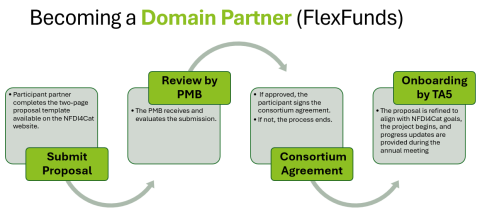 Domain Partner