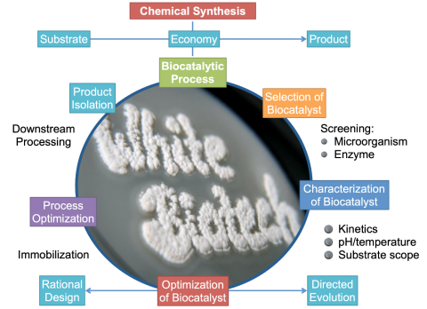 Biocatalysis
